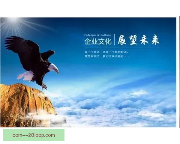 国家队大名单背后的故事与新征程荣耀期待球迷心声与未来蓝图展望